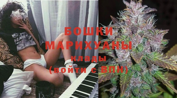 PSILOCYBIN Балахна