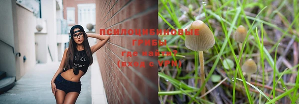 прущие крисы Балабаново