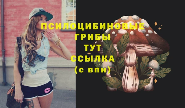 винт Баксан
