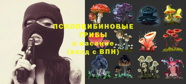 винт Баксан