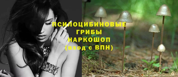 винт Баксан